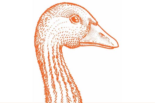 Un posto a Milano restaurant oca in onto draft of a duck on paper