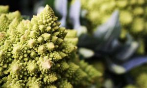produttori frutta km 0 azienda corbari