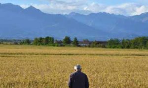produttori km 0 azienda agricola zaccaria