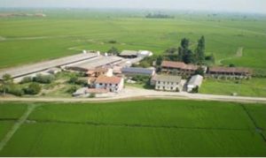 produttori carne km 0 azienda moncucco