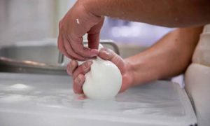 produttori formaggio fior di latta