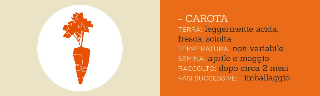 un posto a Milano restaurant organic food carrot vector carrot with key growth circumstances