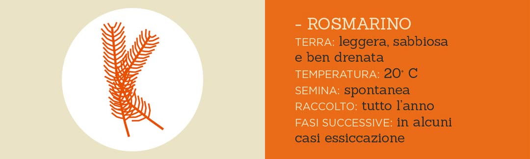 un posto a Milano restaurant organic food rosemary vector rosemary with key growth circumstances