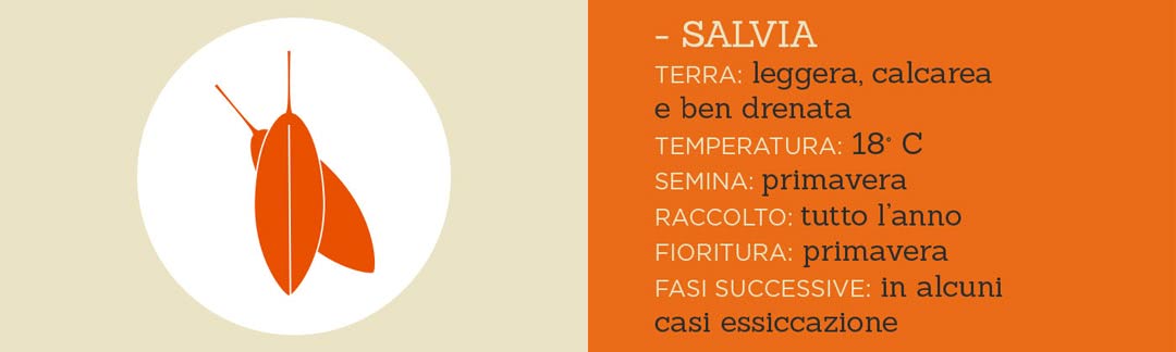 un posto a Milano restaurant organic food sage vector sage with key growth circumstances