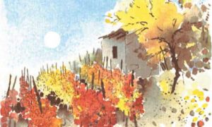 produttori vino km 0 alari claudio