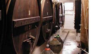 produttori vino km 0 il casale