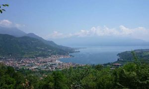 produttori km 0 milano vini fratelli trevisani