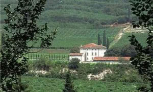 produttori vino km 0 marion