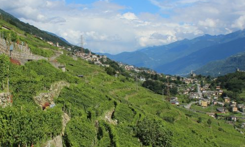 uomo e donna produttori di vino