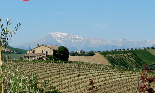 uomo e donna produttori di vino