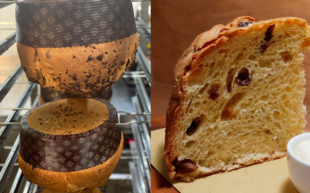 Panettone dello Chef