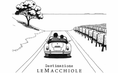 DESTINAZIONE LE MACCHIOLLE